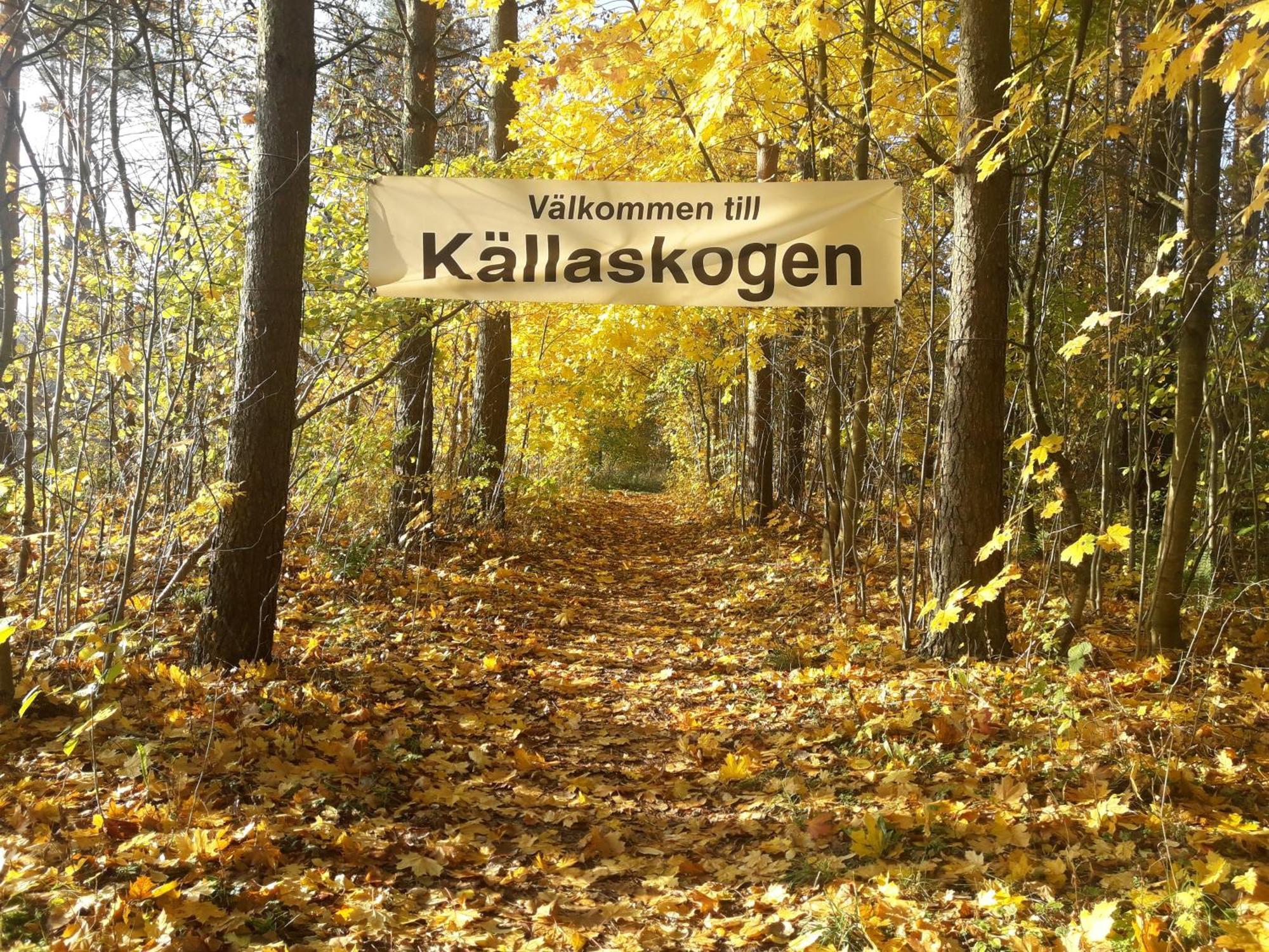 Broesarp Kaellagarden Stora Gardslaegenheten Ngoại thất bức ảnh