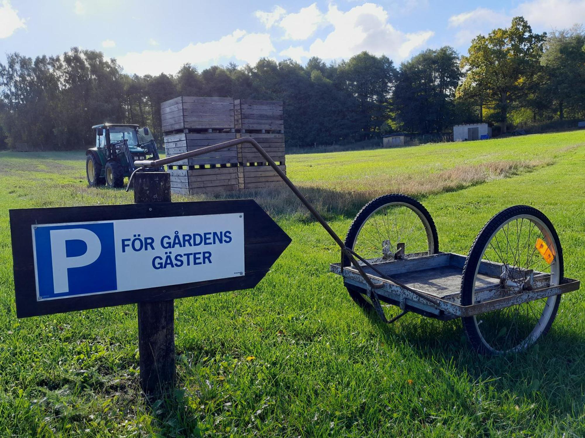 Broesarp Kaellagarden Stora Gardslaegenheten Ngoại thất bức ảnh